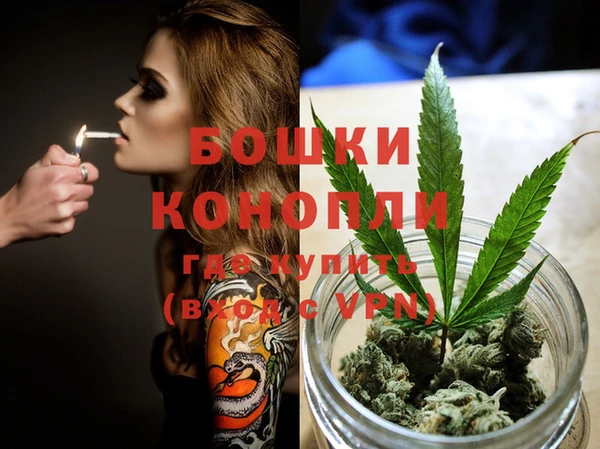 ГАЛЛЮЦИНОГЕННЫЕ ГРИБЫ Ельня