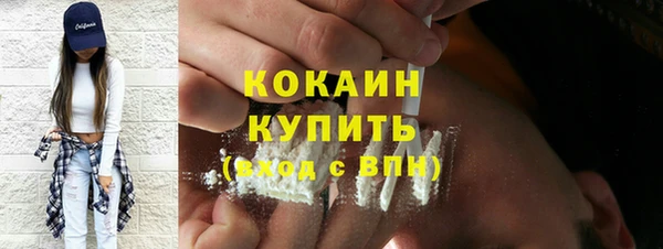 ГАЛЛЮЦИНОГЕННЫЕ ГРИБЫ Ельня