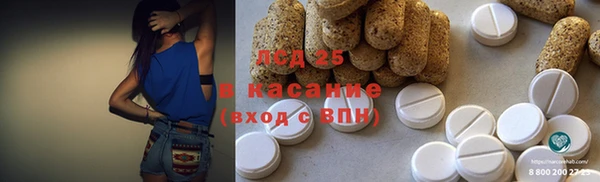 PSILOCYBIN Елизово