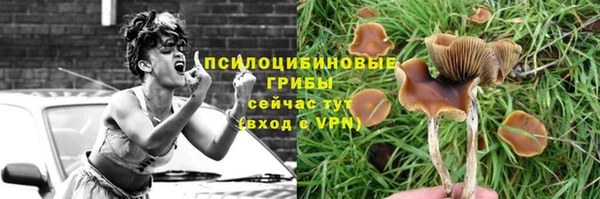 спиды Елабуга