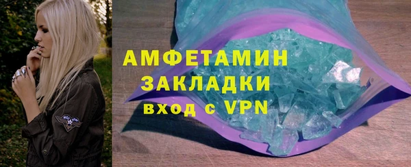 ГАЛЛЮЦИНОГЕННЫЕ ГРИБЫ Ельня
