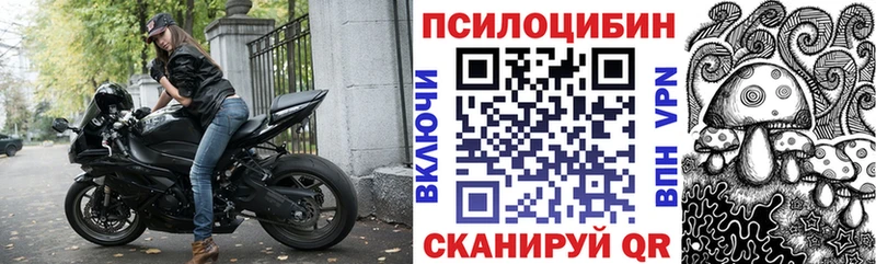 Купить Ермолино Псилоцибиновые грибы MAGIC MUSHROOMS